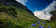 Binevenagh Mountain Walk