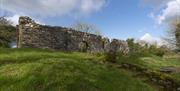 Old church ruins, Burnfoot