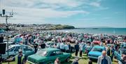 Grass area filled with different models of Ford cars and people gathered to look at them