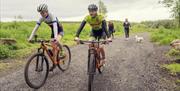 cyclists and dog walkers at garvagh forest