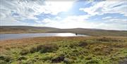 Dam on the Dungonnell Way trail