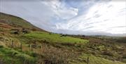 North Sperrins Way