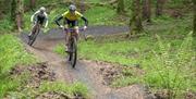 Cyclists using the cycle trail in Garvagh Forest