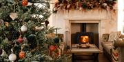 Christmas Tree with Lounge and Wood Burner Stove lit in Background