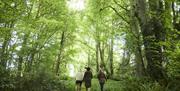 a group of women walk in the forest