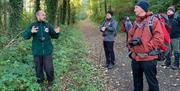 a walking group in a forest