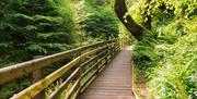 Waymarked trail at Glenariff