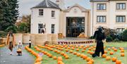 Halloween at Roe Valley Resort