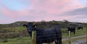 The only neighbours to be seen as far as the eye can see
