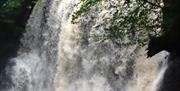 Wide waterfall plunging over a rock face into a pool below, framed by leafy woodland.