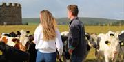 a man and woman stand in a field with a herd of cows around them