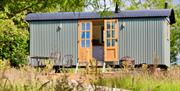 Sundew Hut in meadow