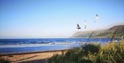 seagulls fly over the beach