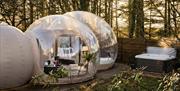 Cromore Retreat Ireland Bubble Domes