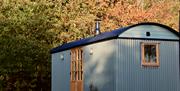 Sundew Hut in autumn sunlight