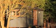 Curlew Hut in Autumn