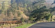 Tree-lined driveway with wooden fence, forested hills, and mountains in the background.