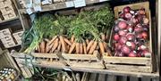 wooden crates in Chestnutt's Farm shop hold gresh carrots, parsnips and apples