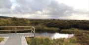 bogland on Croaghan Way