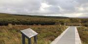 bogland and signage on Croaghan Way