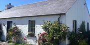 Front exterior of Dunnaglea Cottage, taken from the right hand side. The cottage is single-story with floral exteriors and a dutch style half-door.