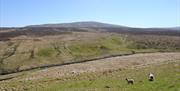 view from Moyle Way trail