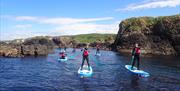 Paddle boarding Experience