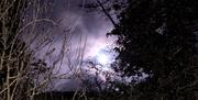 The moon peers out from behind the clouds between a few trees at night