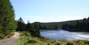 Banagher Glen