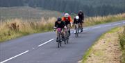A group of cyclists cycling on a road with a forest behind them