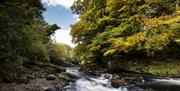 Roe Valley Country Park