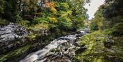 Roe Valley Country Park