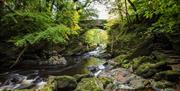 Roe Valley Country Park