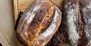 sourdough bread loaf