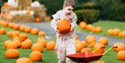 Halloween at Roe Valley Resort
