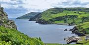 Torr Head