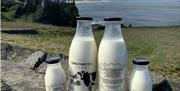 bottles of milk are lined up on a stone wall, branded with Chestnutt's Farm. Dunluce Castle and the ocean can be seen in the background