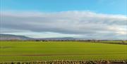A green field with blue skies overhead