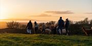 a group of 5 people walk of into the distance at sunset with a group of 4 alpacas, with beautiful skies and sea views ahead of them.