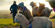 At sunset on a hillside with views to the horizon, a lady wearing a hat, sunglasses and a warm coat has her arm around the neck of an alpaca who is re