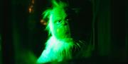 The Grinch looks at his reflection in a mirror