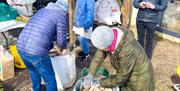 people pack barrels with wooden sticks