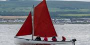 a sailing boat with red sails is cruising along the water with a crew of 4 people on board