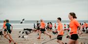 people run a race with their dogs on the beach