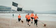 people run a race with their dogs on the beach. Mussenden Temple is visible in the background