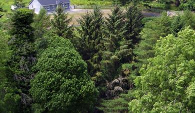 Hazelwood Self Catering house