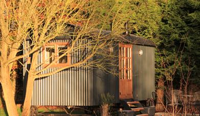 Curlew Hut in Autumn