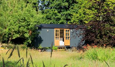 Curlew Hut nestled in trees and meadow