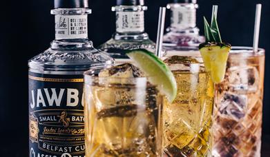 bottles of Jawbox Gin