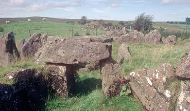 Image of the stones at Knockoneill Court Tomb